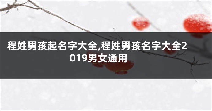 程姓男孩起名字大全,程姓男孩名字大全2019男女通用