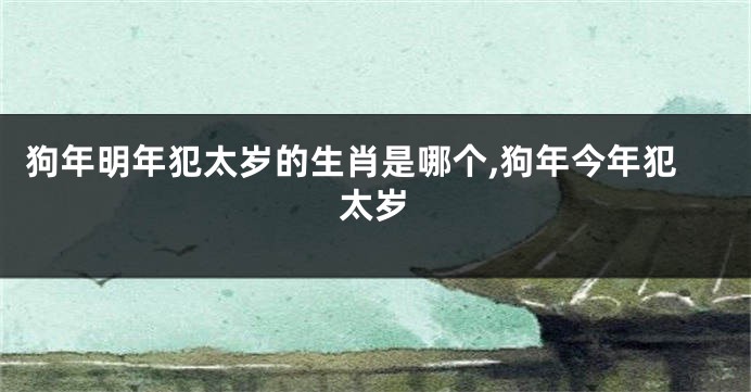 狗年明年犯太岁的生肖是哪个,狗年今年犯太岁