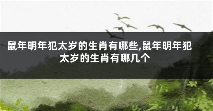 鼠年明年犯太岁的生肖有哪些,鼠年明年犯太岁的生肖有哪几个
