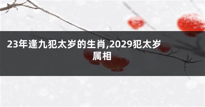 23年逢九犯太岁的生肖,2029犯太岁属相
