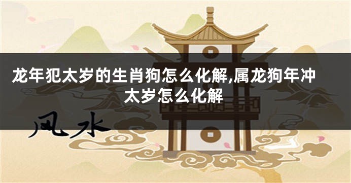 龙年犯太岁的生肖狗怎么化解,属龙狗年冲太岁怎么化解
