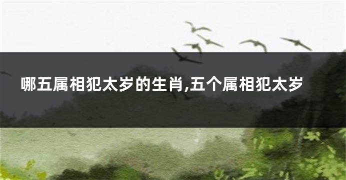 哪五属相犯太岁的生肖,五个属相犯太岁