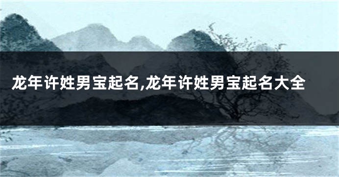 龙年许姓男宝起名,龙年许姓男宝起名大全