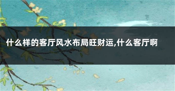 什么样的客厅风水布局旺财运,什么客厅啊
