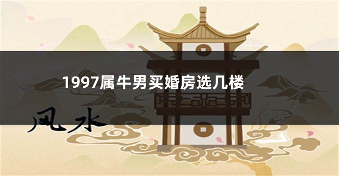 1997属牛男买婚房选几楼