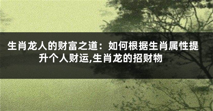 生肖龙人的财富之道：如何根据生肖属性提升个人财运,生肖龙的招财物