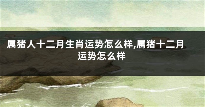 属猪人十二月生肖运势怎么样,属猪十二月运势怎么样