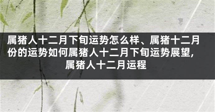 属猪人十二月下旬运势怎么样、属猪十二月份的运势如何属猪人十二月下旬运势展望,属猪人十二月运程