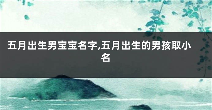 五月出生男宝宝名字,五月出生的男孩取小名
