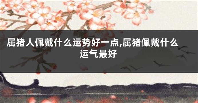 属猪人佩戴什么运势好一点,属猪佩戴什么运气最好