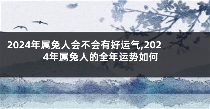 2024年属兔人会不会有好运气,2024年属兔人的全年运势如何