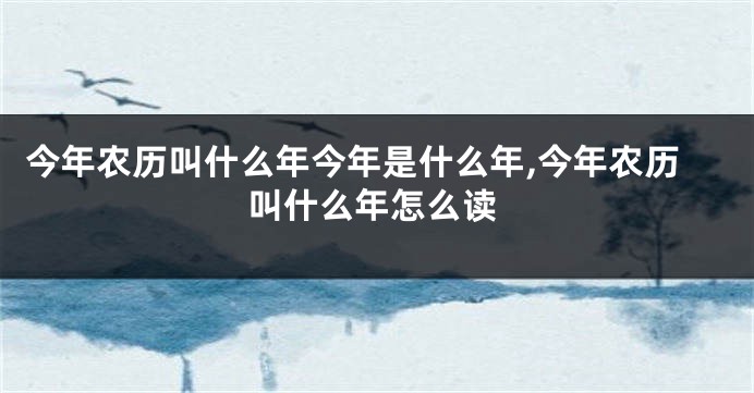 今年农历叫什么年今年是什么年,今年农历叫什么年怎么读
