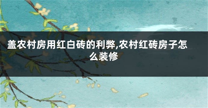 盖农村房用红白砖的利弊,农村红砖房子怎么装修