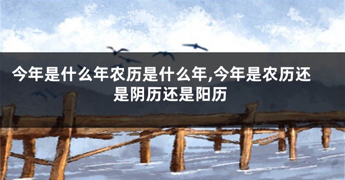 今年是什么年农历是什么年,今年是农历还是阴历还是阳历