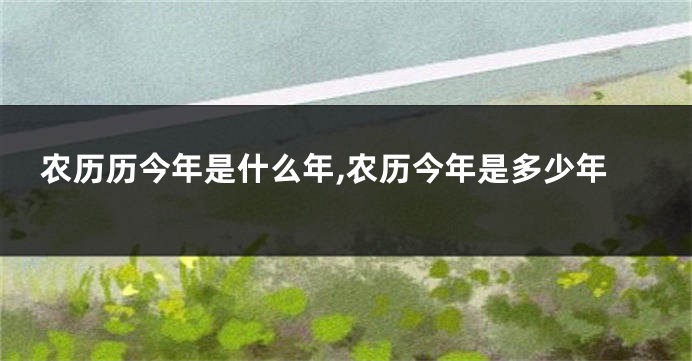 农历历今年是什么年,农历今年是多少年