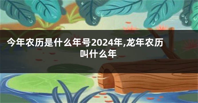今年农历是什么年号2024年,龙年农历叫什么年