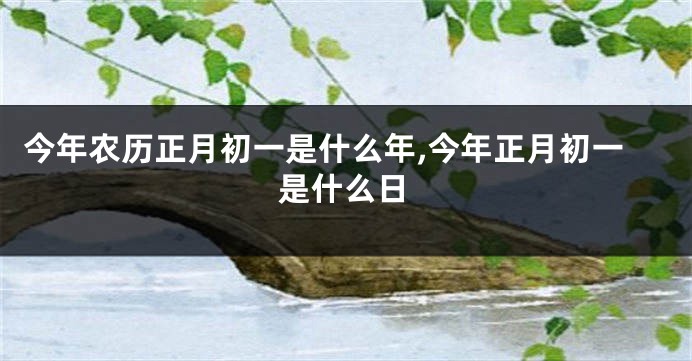 今年农历正月初一是什么年,今年正月初一是什么日