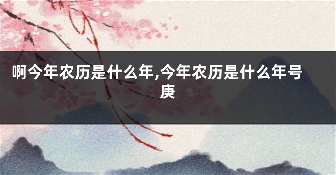 啊今年农历是什么年,今年农历是什么年号庚