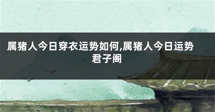 属猪人今日穿衣运势如何,属猪人今日运势君子阁
