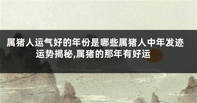 属猪人运气好的年份是哪些属猪人中年发迹运势揭秘,属猪的那年有好运