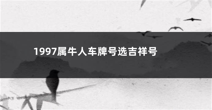 1997属牛人车牌号选吉祥号