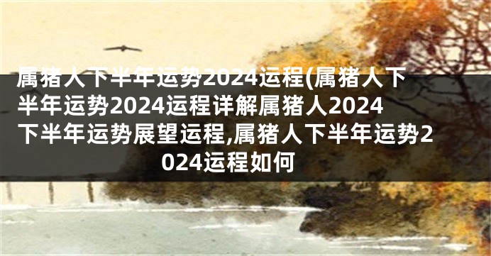 属猪人下半年运势2024运程(属猪人下半年运势2024运程详解属猪人2024下半年运势展望运程,属猪人下半年运势2024运程如何