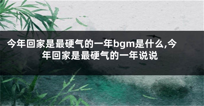 今年回家是最硬气的一年bgm是什么,今年回家是最硬气的一年说说