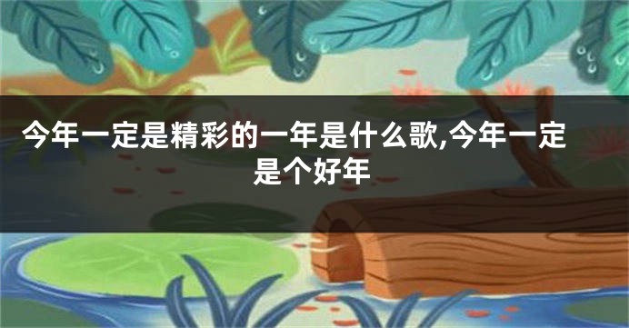 今年一定是精彩的一年是什么歌,今年一定是个好年