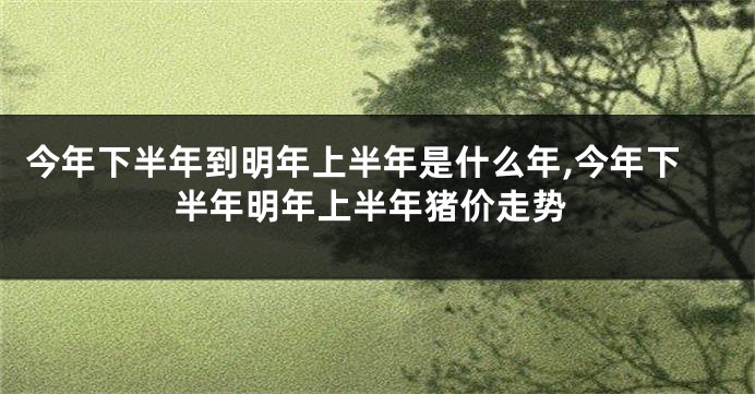 今年下半年到明年上半年是什么年,今年下半年明年上半年猪价走势