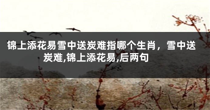 锦上添花易雪中送炭难指哪个生肖，雪中送炭难,锦上添花易,后两句