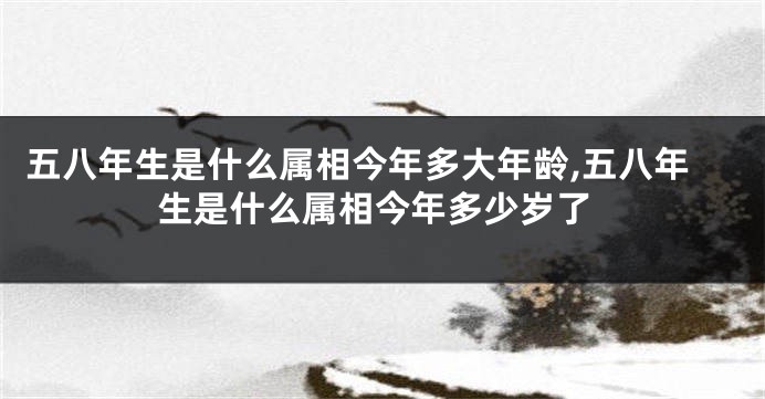 五八年生是什么属相今年多大年龄,五八年生是什么属相今年多少岁了