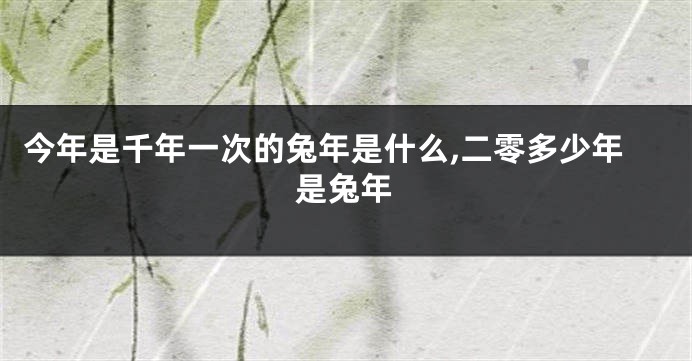今年是千年一次的兔年是什么,二零多少年是兔年