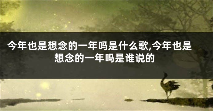 今年也是想念的一年吗是什么歌,今年也是想念的一年吗是谁说的