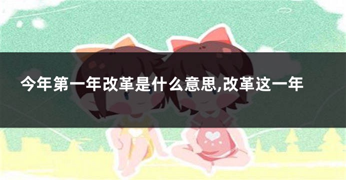今年第一年改革是什么意思,改革这一年