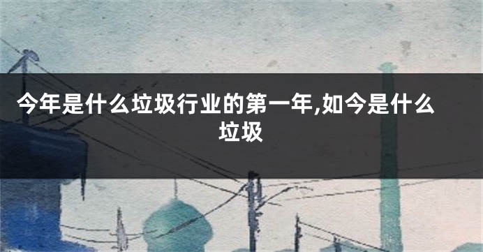 今年是什么垃圾行业的第一年,如今是什么垃圾