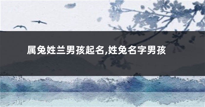 属兔姓兰男孩起名,姓兔名字男孩