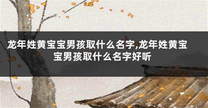 龙年姓黄宝宝男孩取什么名字,龙年姓黄宝宝男孩取什么名字好听