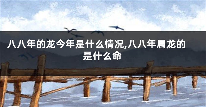 八八年的龙今年是什么情况,八八年属龙的是什么命