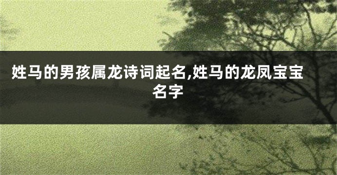 姓马的男孩属龙诗词起名,姓马的龙凤宝宝名字