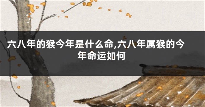 六八年的猴今年是什么命,六八年属猴的今年命运如何