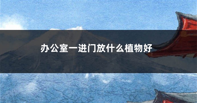 办公室一进门放什么植物好