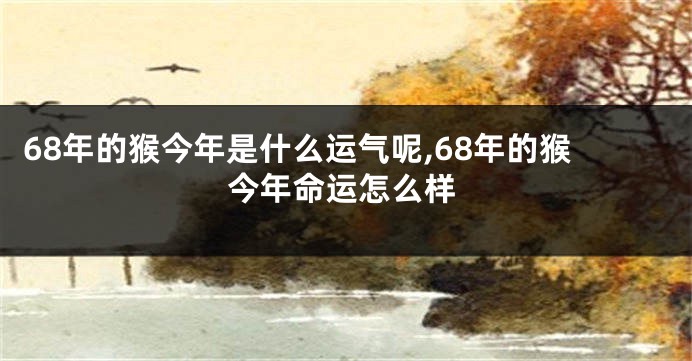 68年的猴今年是什么运气呢,68年的猴今年命运怎么样