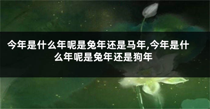 今年是什么年呢是兔年还是马年,今年是什么年呢是兔年还是狗年