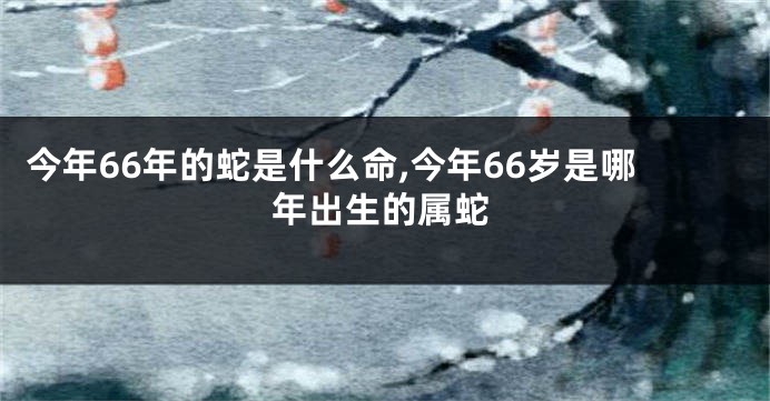 今年66年的蛇是什么命,今年66岁是哪年出生的属蛇