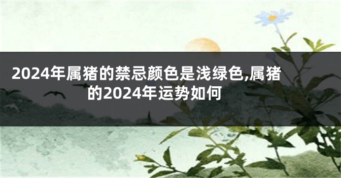 2024年属猪的禁忌颜色是浅绿色,属猪的2024年运势如何