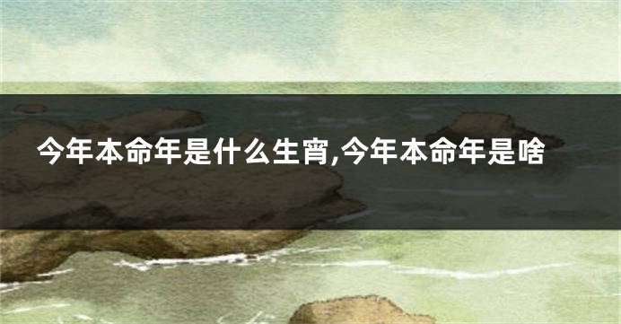 今年本命年是什么生宵,今年本命年是啥