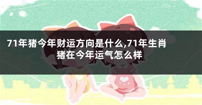 71年猪今年财运方向是什么,71年生肖猪在今年运气怎么样