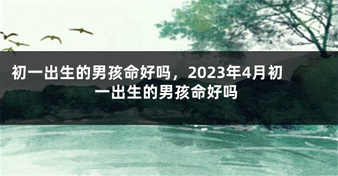 初一出生的男孩命好吗，2023年4月初一出生的男孩命好吗