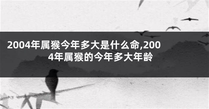 2004年属猴今年多大是什么命,2004年属猴的今年多大年龄