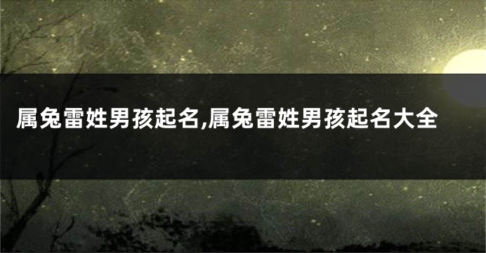 属兔雷姓男孩起名,属兔雷姓男孩起名大全